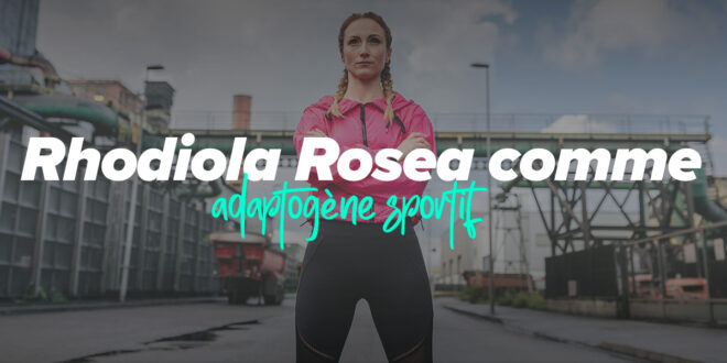 Rhodiola Rosea et son usage comme adaptogène sportif Rhodiola Rosea et son usage comme adaptogène sportif