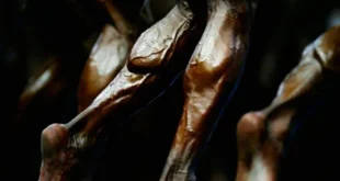 Hypertrophie : entraîne chaque muscle selon son type de fibres