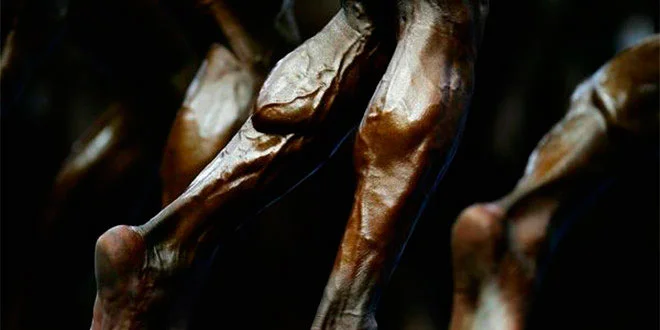 Hypertrophie : entraîne chaque muscle selon son type de fibres Hypertrophie : entraîne chaque muscle selon son type de fibres