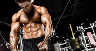 Oxygénation myofibrillaire et croissance musculaire