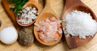 Aliments riches en sels minéraux