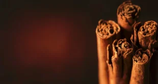 Types de cannelle, quel est le meilleur ?