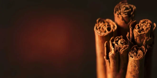 Types de cannelle, quel est le meilleur ? Types de cannelle, quel est le meilleur ?