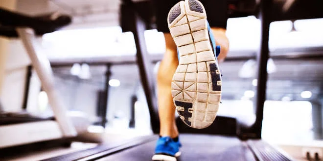 Irisin, une hormone qui imite les effets de l’exercice et du régime