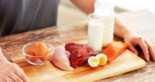 Combien de protéine peut-on absorber par repas ?