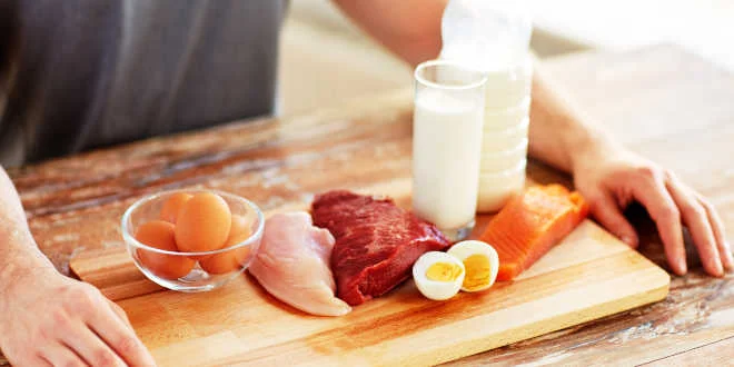 Combien de protéine peut-on absorber par repas ? Combien de protéine peut-on absorber par repas ?