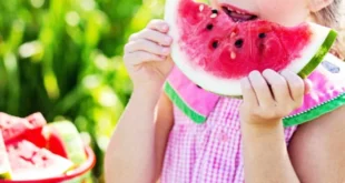 Rester hydraté avec des fruits et légumes riches en eau