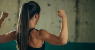 Fondements du système musculaire