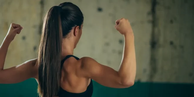 Fondements du système musculaire Fondements du système musculaire