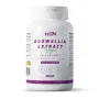 EXTRAIT DE BOSWELLIA SERRATA (20:1) 500mg