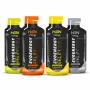 EVOENERGY GEL SANS CAFÉINE