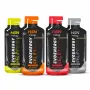 EVOENERGY GEL AVEC CAFÉINE