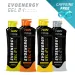EVOENERGY GEL SANS CAFÉINE