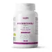 Pycnogenol® EXTRAIT D'ÉCORCE DE PIN MARITIME (1000:1) 25 mg