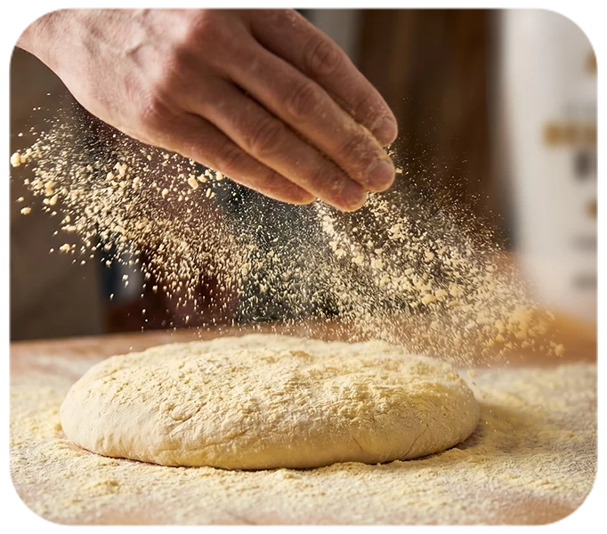 Preparados alimenticios con ingredientes 100% puros