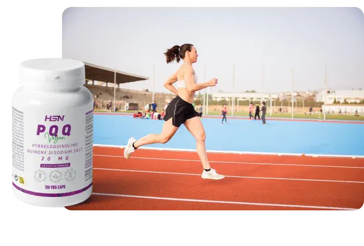 Antioxydants &agrave; l'organisme