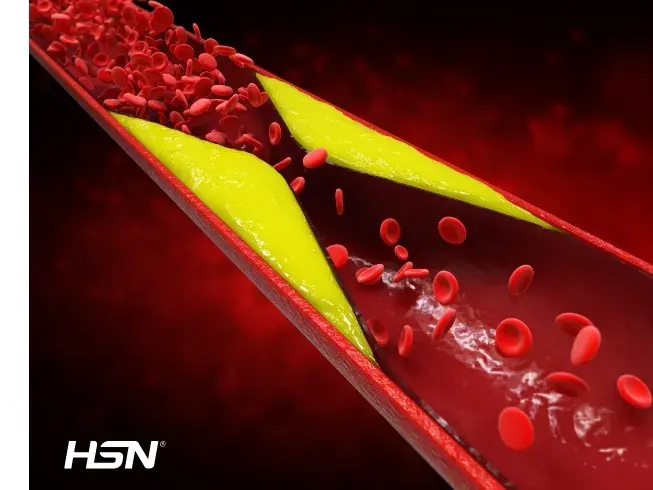 Influence du cholest&eacute;rol sur le bon fonctionnement de l'organisme