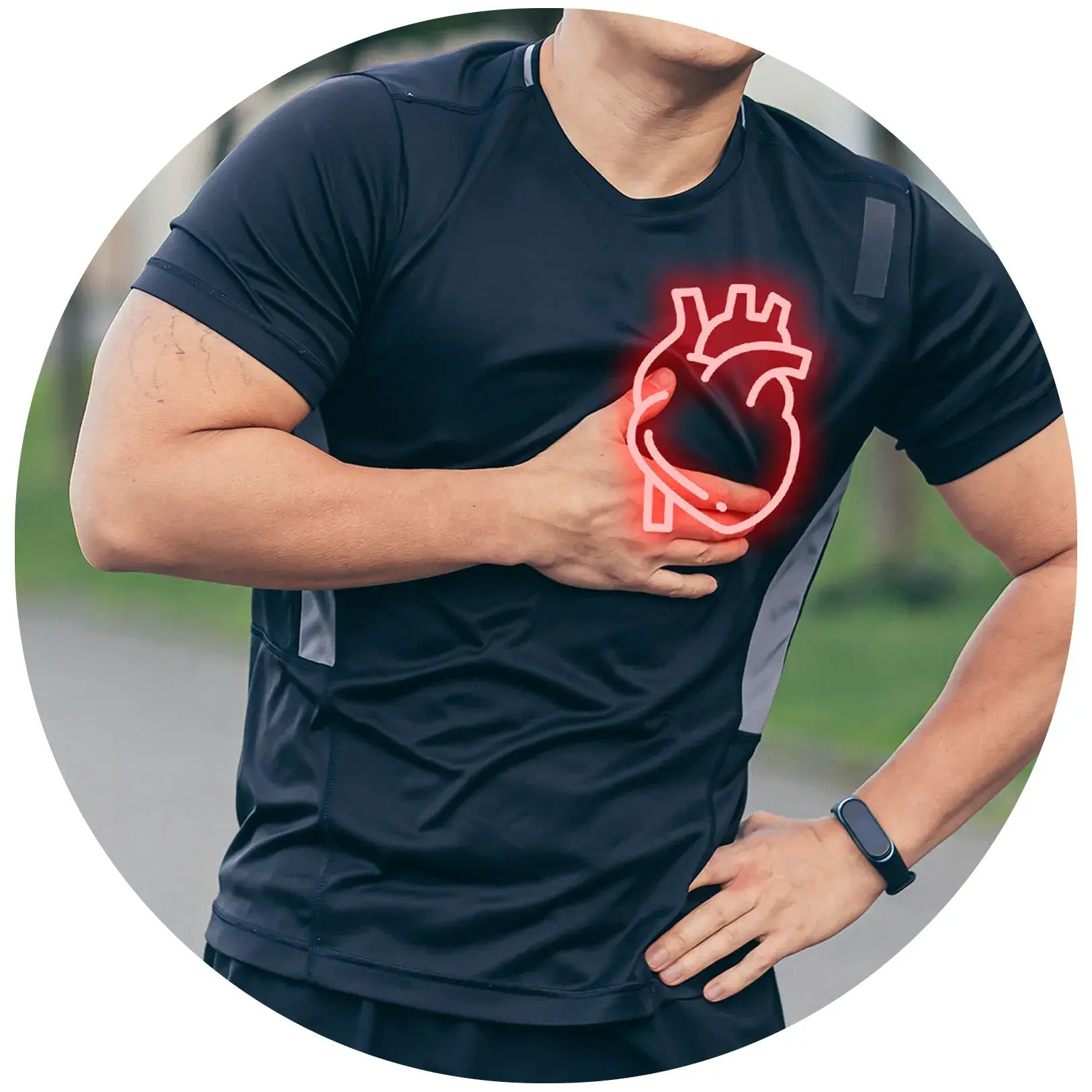 Santé cardiovasculaire