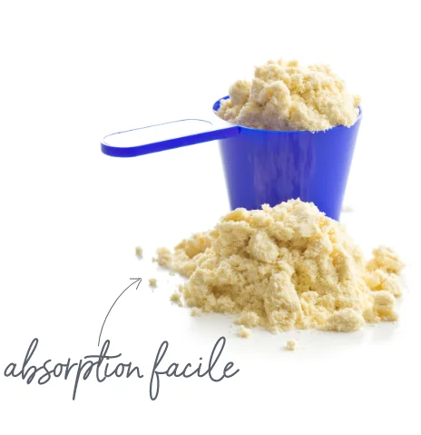 Protéines à absorption facile