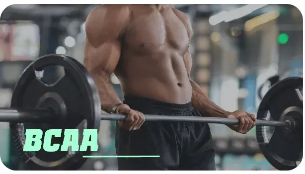 Trouver BCAA chez HSN