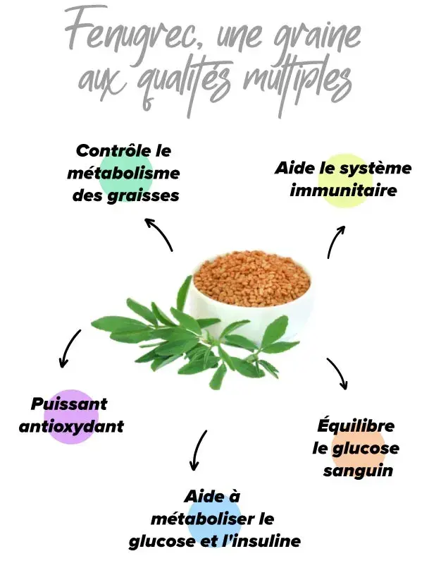 Bienfaits du fenugrec