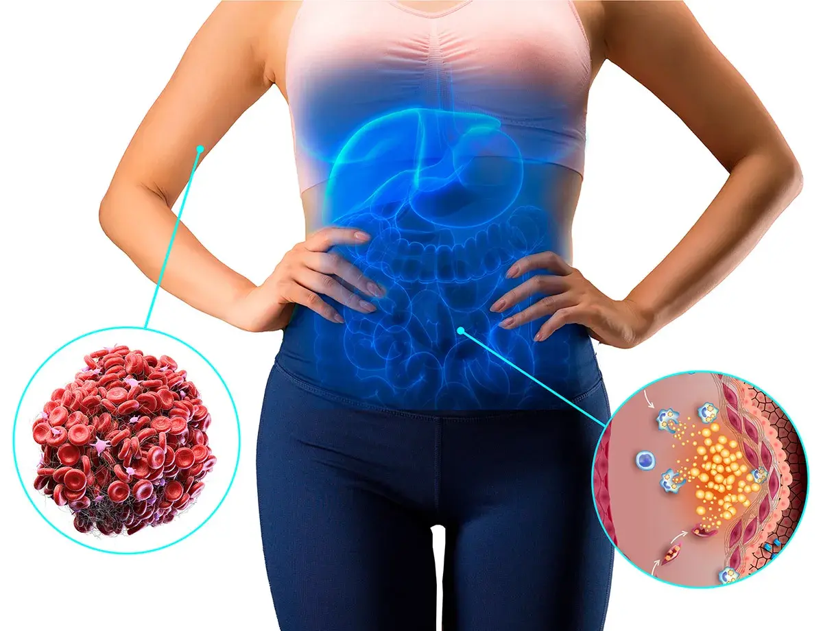 Bloqueurs de graisses et de glucides de qualit&eacute;.