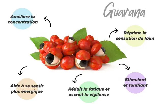 Fonctions du guarana
