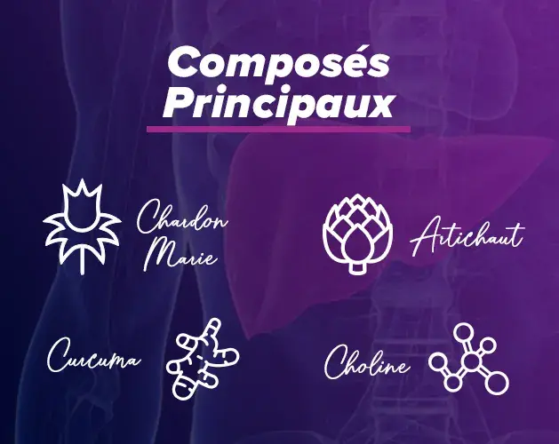 Propri&eacute;t&eacute;s protecteurs h&eacute;patiques