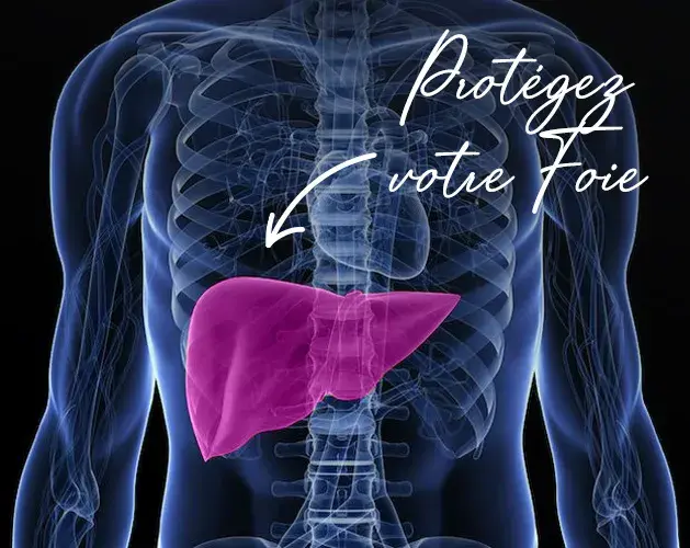 Protecteurs h&eacute;patiques naturels