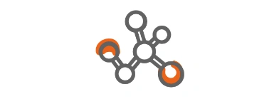 M&eacute;tabolisme de l&rsquo;homocyst&eacute;ine