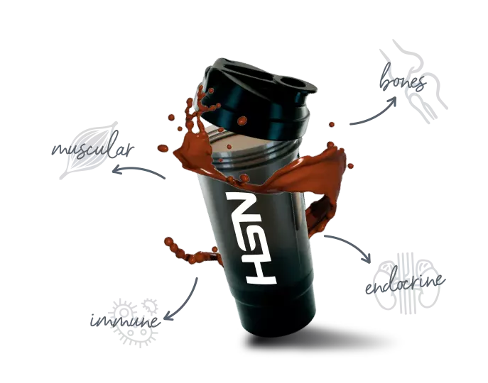 Comment fonctionnent les prot&eacute;ines whey ?