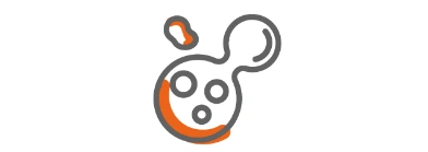 impliqu&eacute; dans le processus de division cellulaire