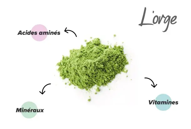 Nutriments de l'orge