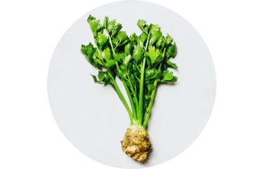 Partie de la plante choisie