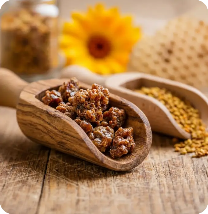 Compléments de propolis de nos marques Compléments de propolis de nos marques