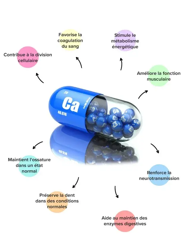 Propri&eacute;t&eacute;s du calcium