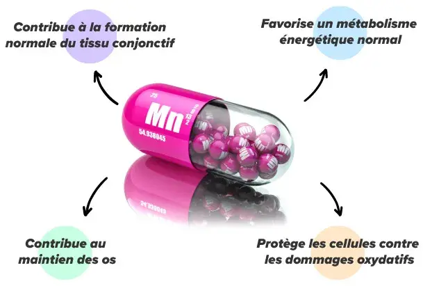 Propri&eacute;t&eacute;s du mangan&egrave;se