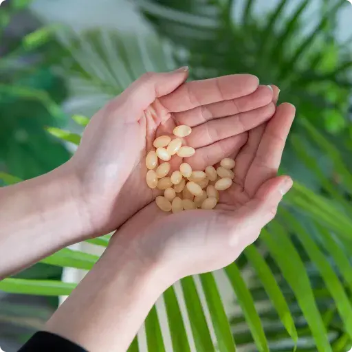 Mains contenant des gélules de saw palmetto