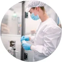 single formula single formula