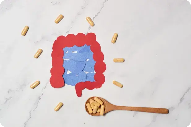 Prendre des produits pour dig&eacute;rer