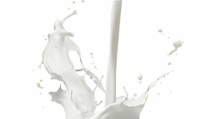 Bienfaits de la prot&eacute;ine whey