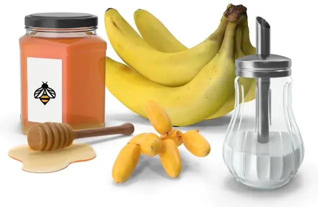 Que sont les glucides simples ?