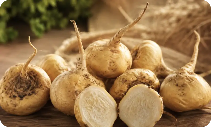 Effets du maca andin